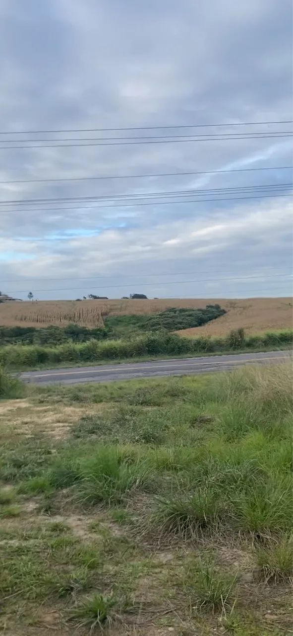 Vendo terreno de 27 tarefas em Japoatã  - Foto 3