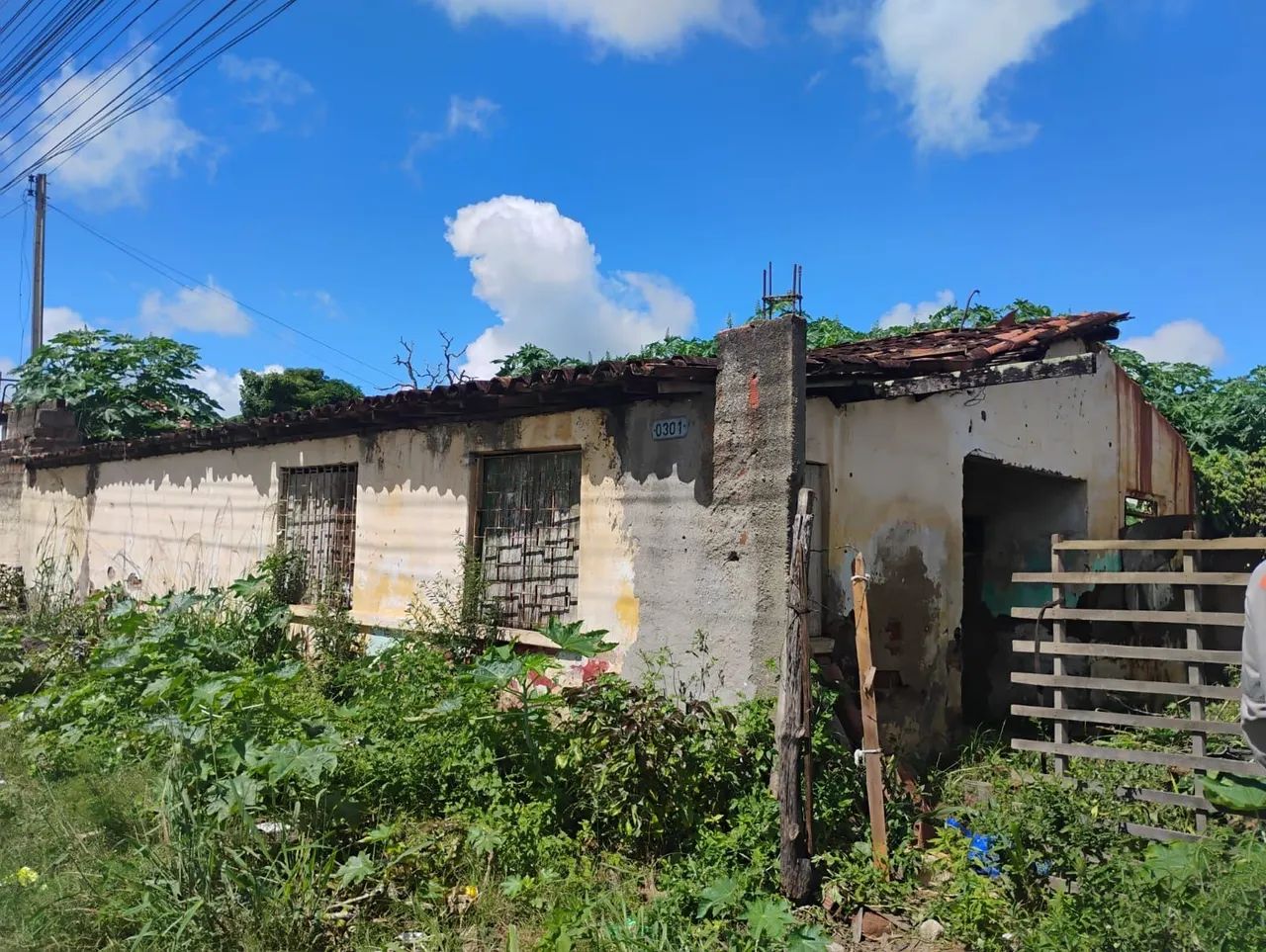Terreno de esquina em palmeira dos índios  - Foto 4