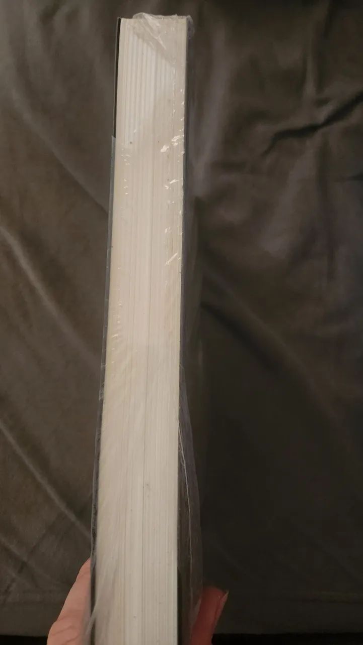 Livro HOMO DEUS - Foto 3