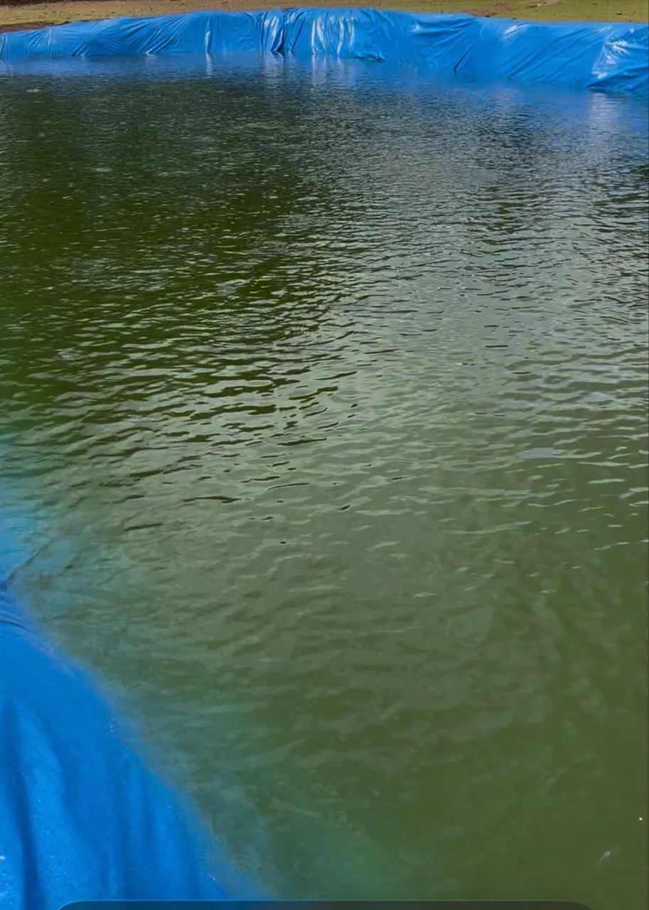 Vendo bomba multi estágios e Lona para tanque de peixe  - Foto 3