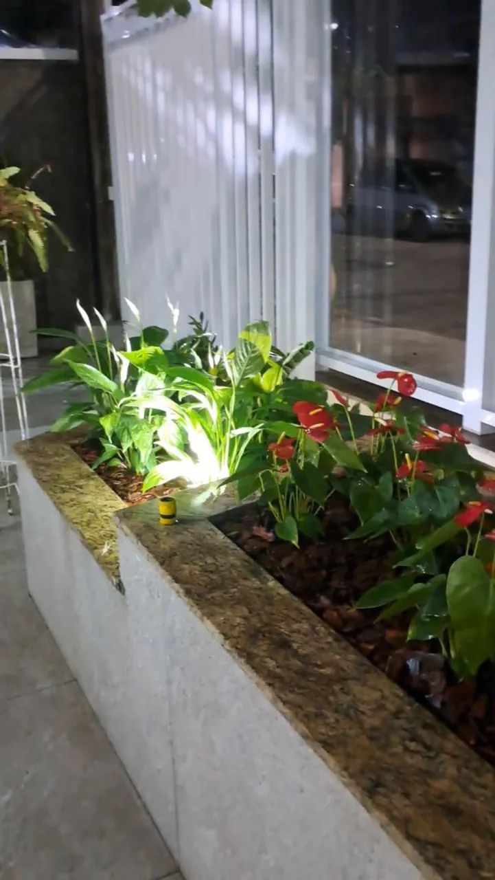 Paisagismo e jardinagem  - Foto 4