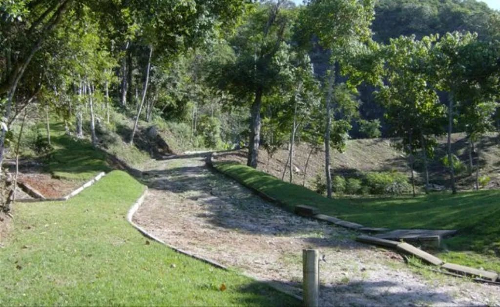 Lote / Terreno em Ponta de Baixo - São José - Foto 5