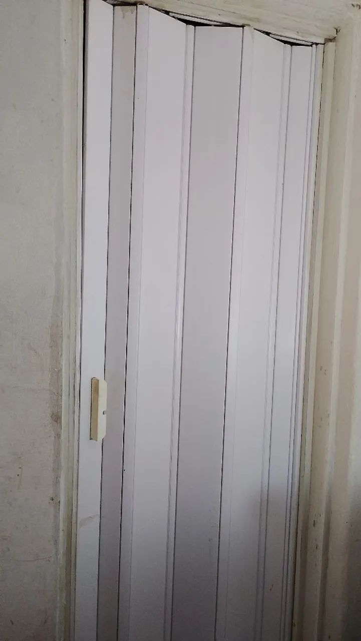 Accordion bathroom door