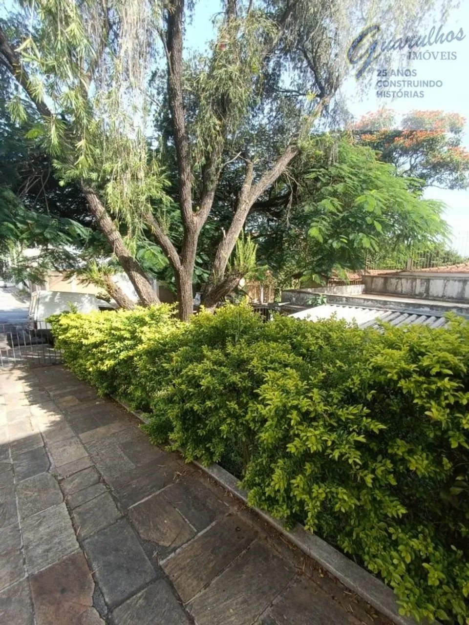 terrea vila rosalia - Foto 5