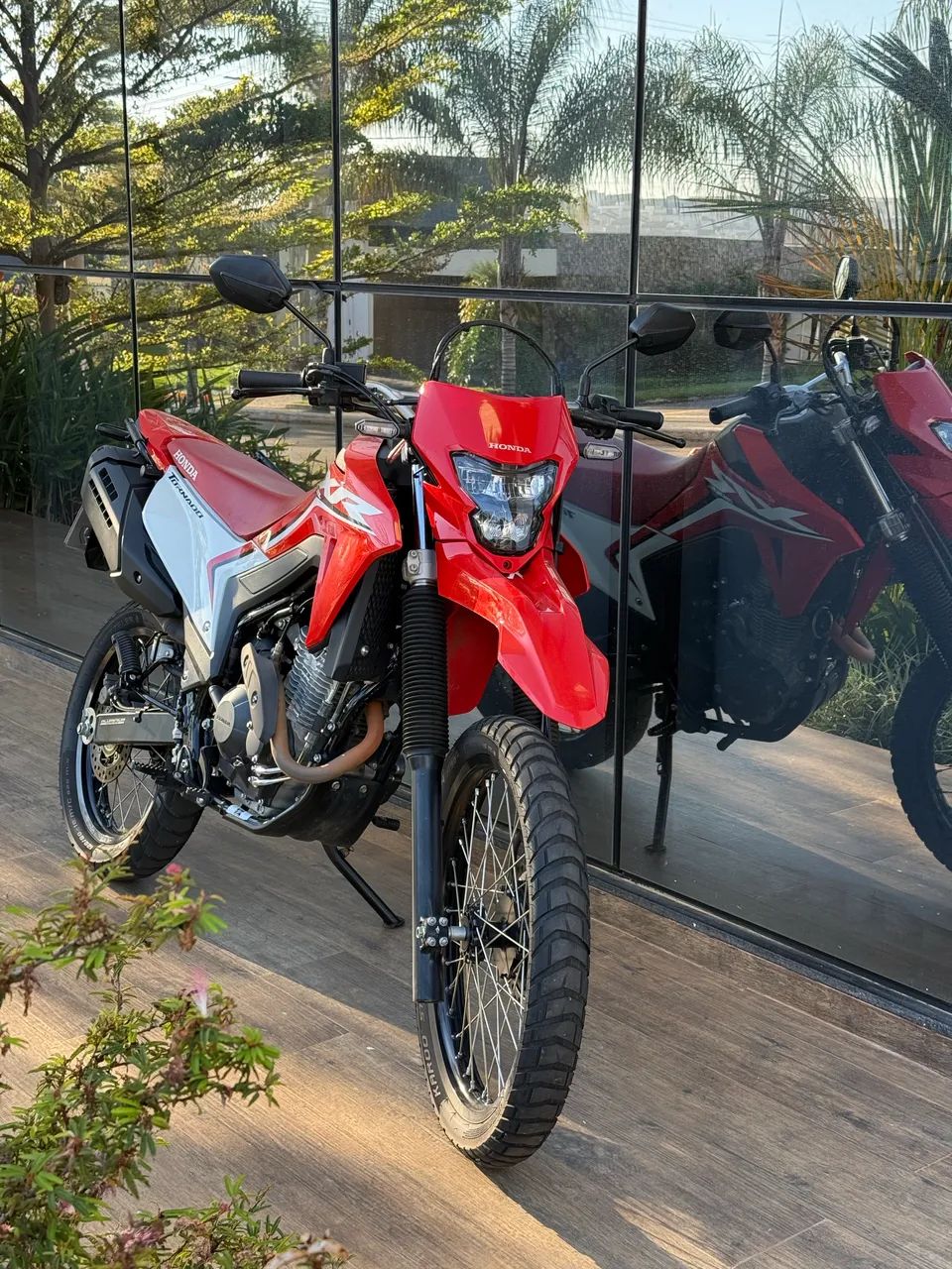 XR TORNADO 300L 