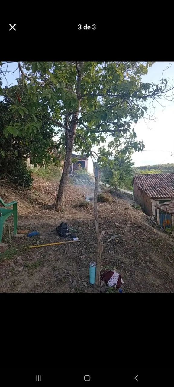 Terreno  - Foto 2