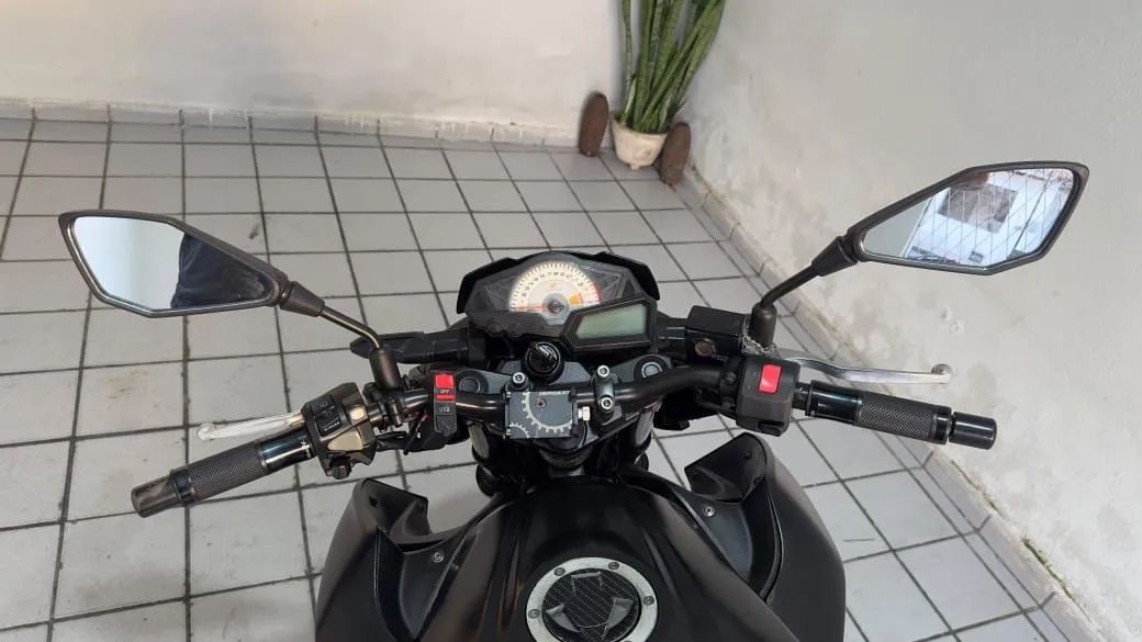 Z300 2019  - Foto 3
