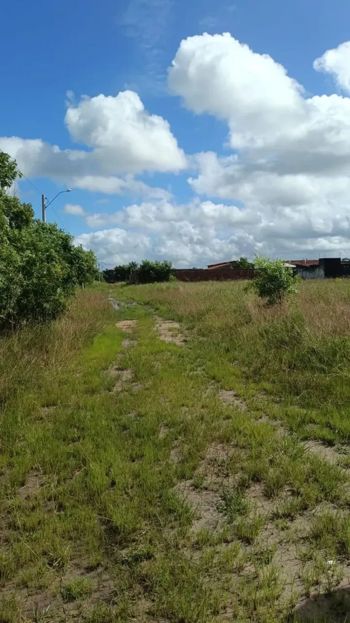 Lotes a venda litoral Sul