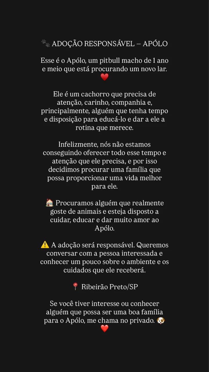 Doação Pitbull 