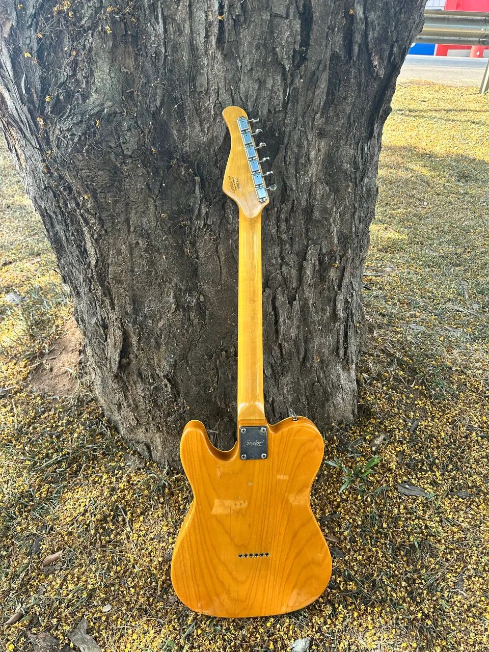 Guitarra Telecaster Thinline  - Foto 2