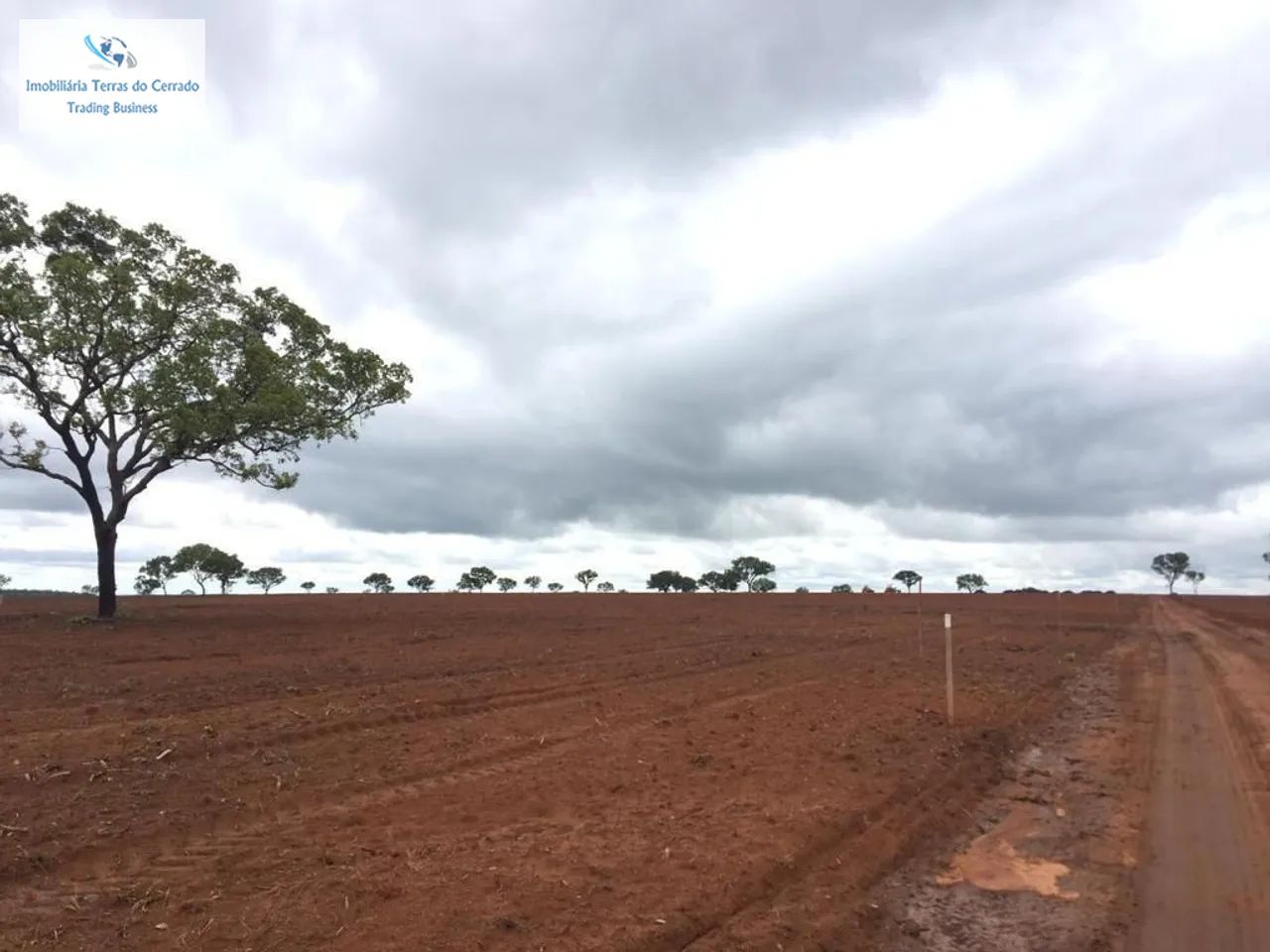 FAZENDA COM 435 HECTARES ARRENDADA PRA CANA - Foto 3