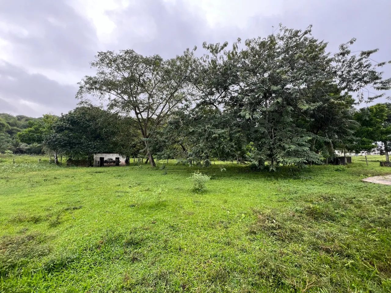 Sítio/Chácara para venda Guabiraba/Paulista