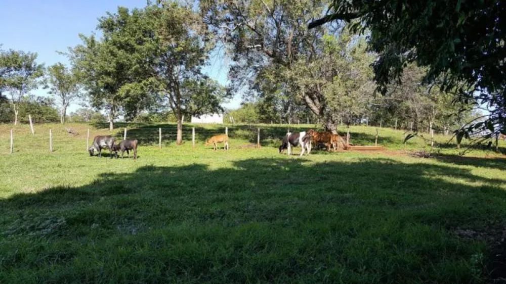 Rural Sítio em Paranaíba - Foto 5