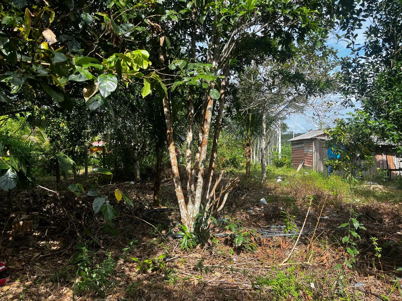 Vendo terreno 10x50  - Foto 5