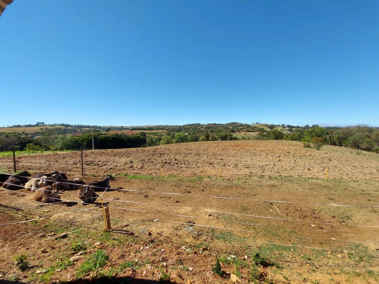 Haras e Galpão Comercial - Foto 4
