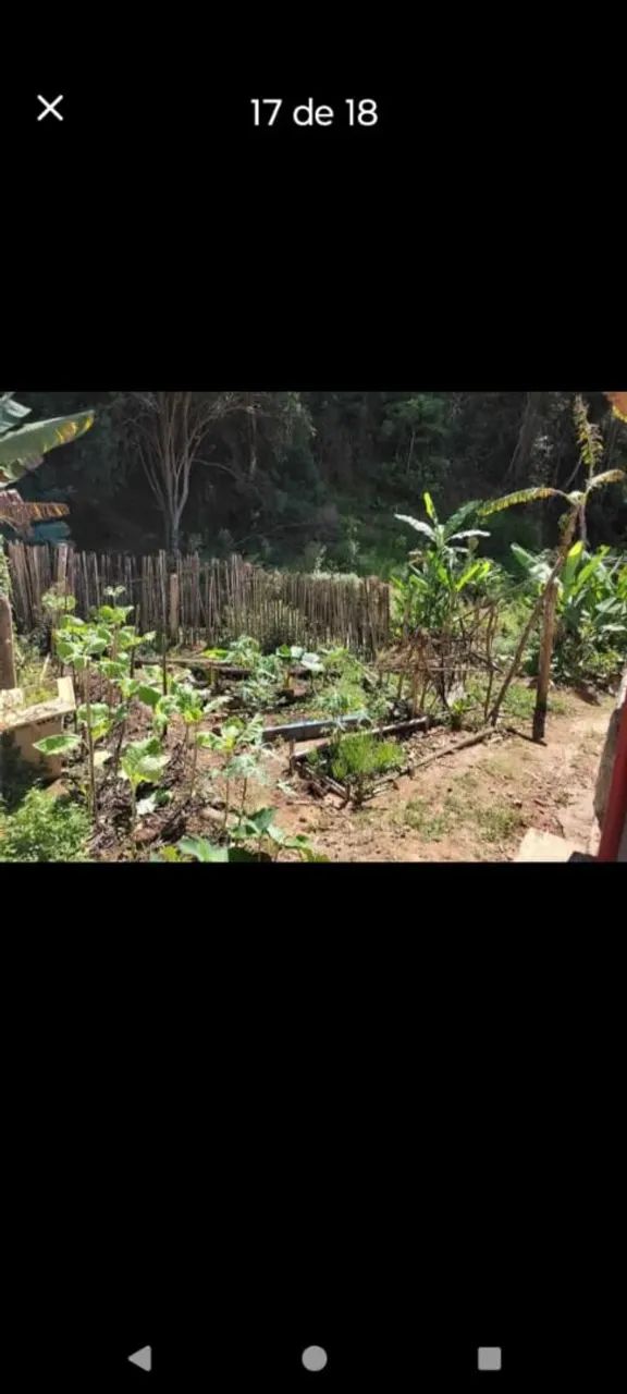 Chácara/ sitio  - Foto 2
