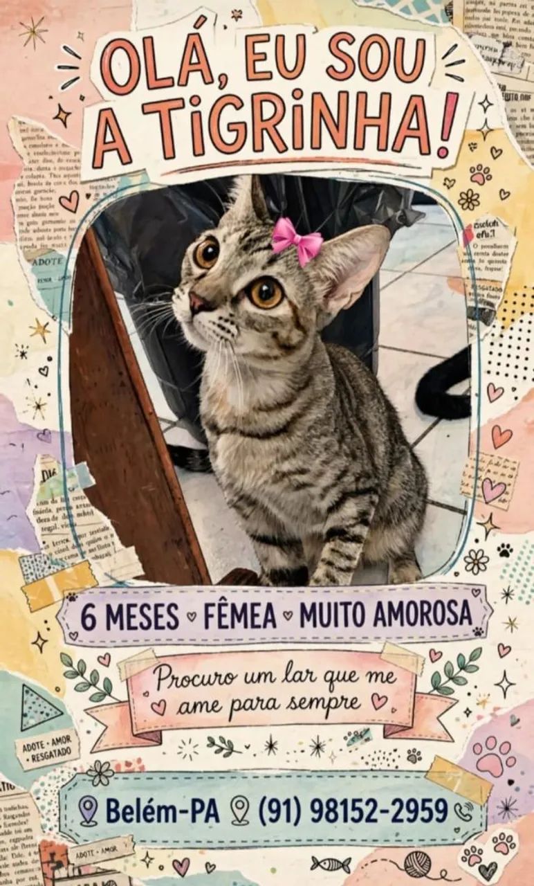 Doação responsável  - Foto 2