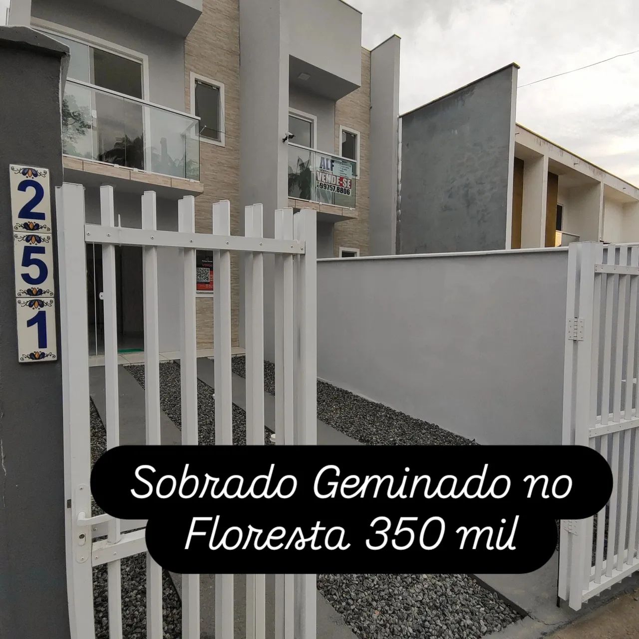 Foto - Joinville - Floresta