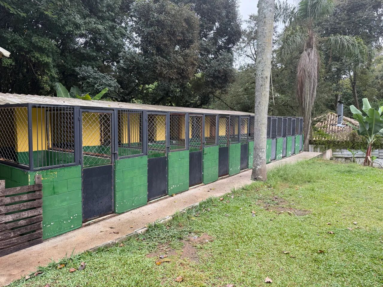 Hotel, creche e centro de treinamento de cães - Foto 2
