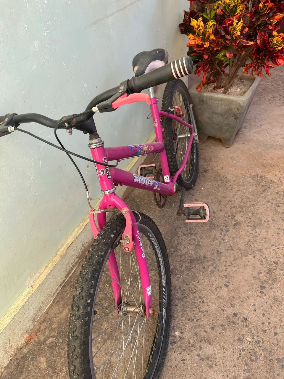 Bicicleta
