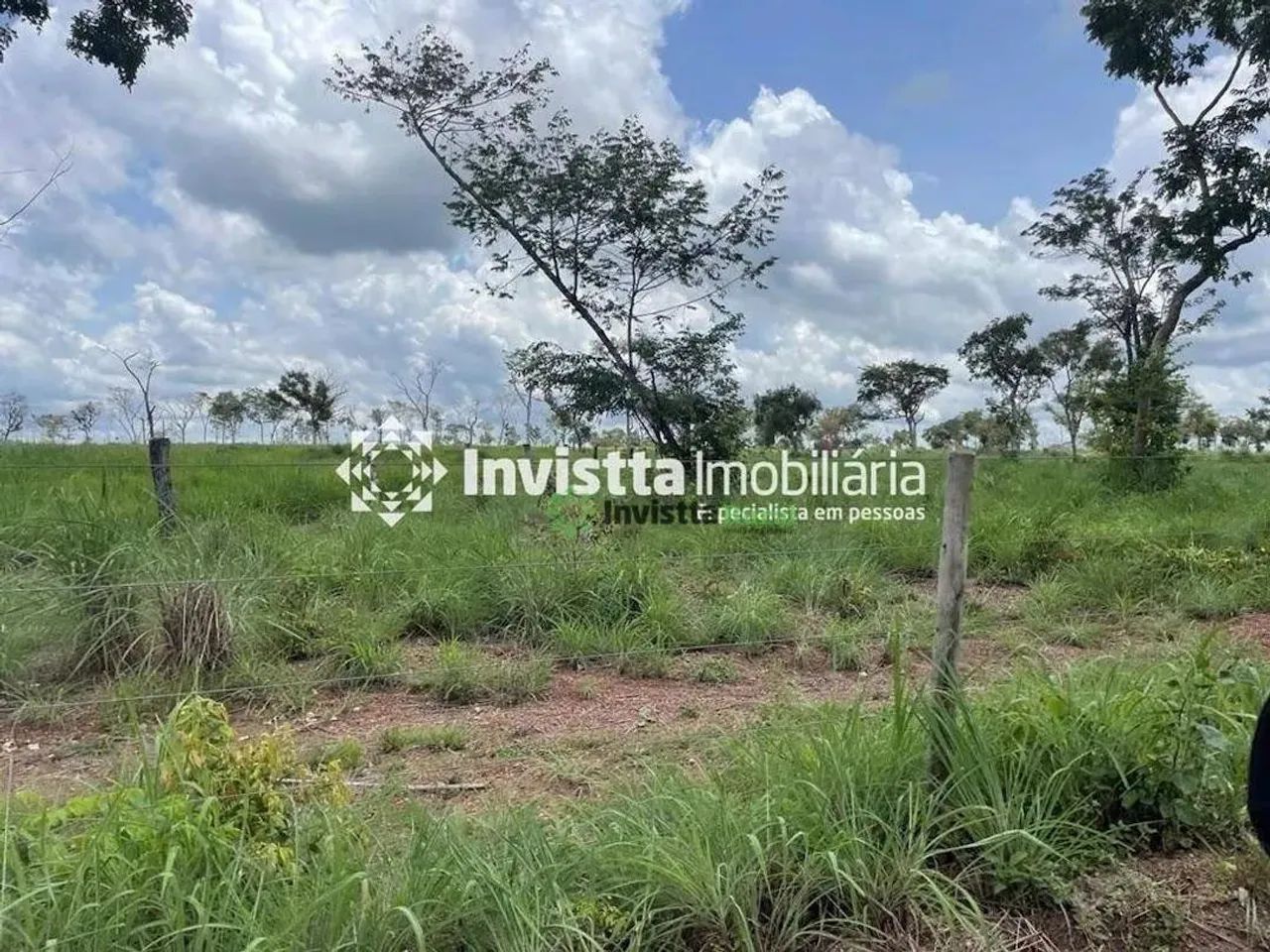 Fazenda de 117 alqueires com topografia plana em Divinópolis - Foto 3