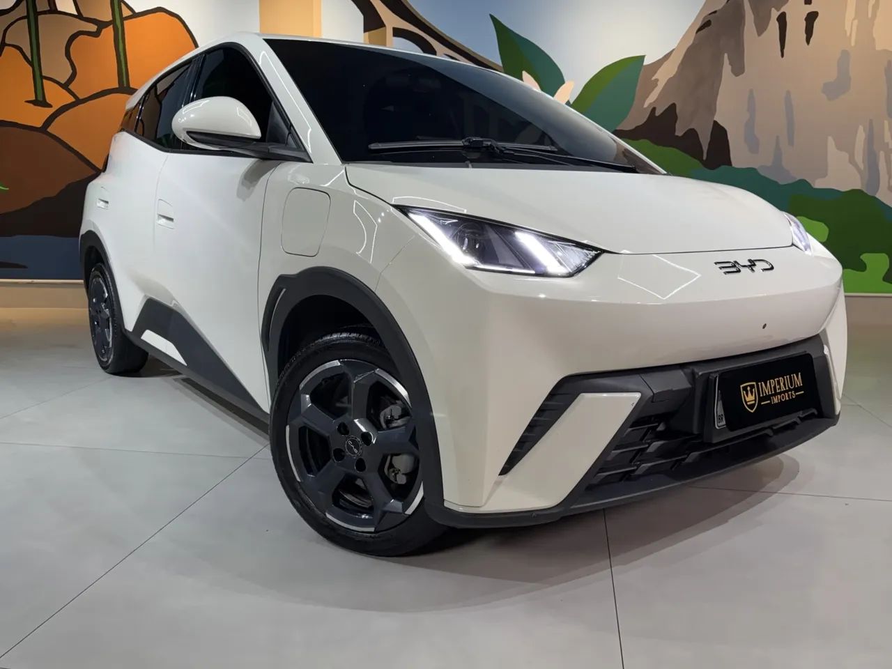 BYD Dolphin GS (Elétrico) 2025 - Foto 5