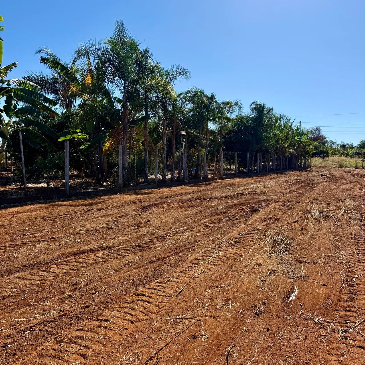 Chácara 2.000m2 à 1 km da cidade de Bonfinópolis-GO - Foto 4