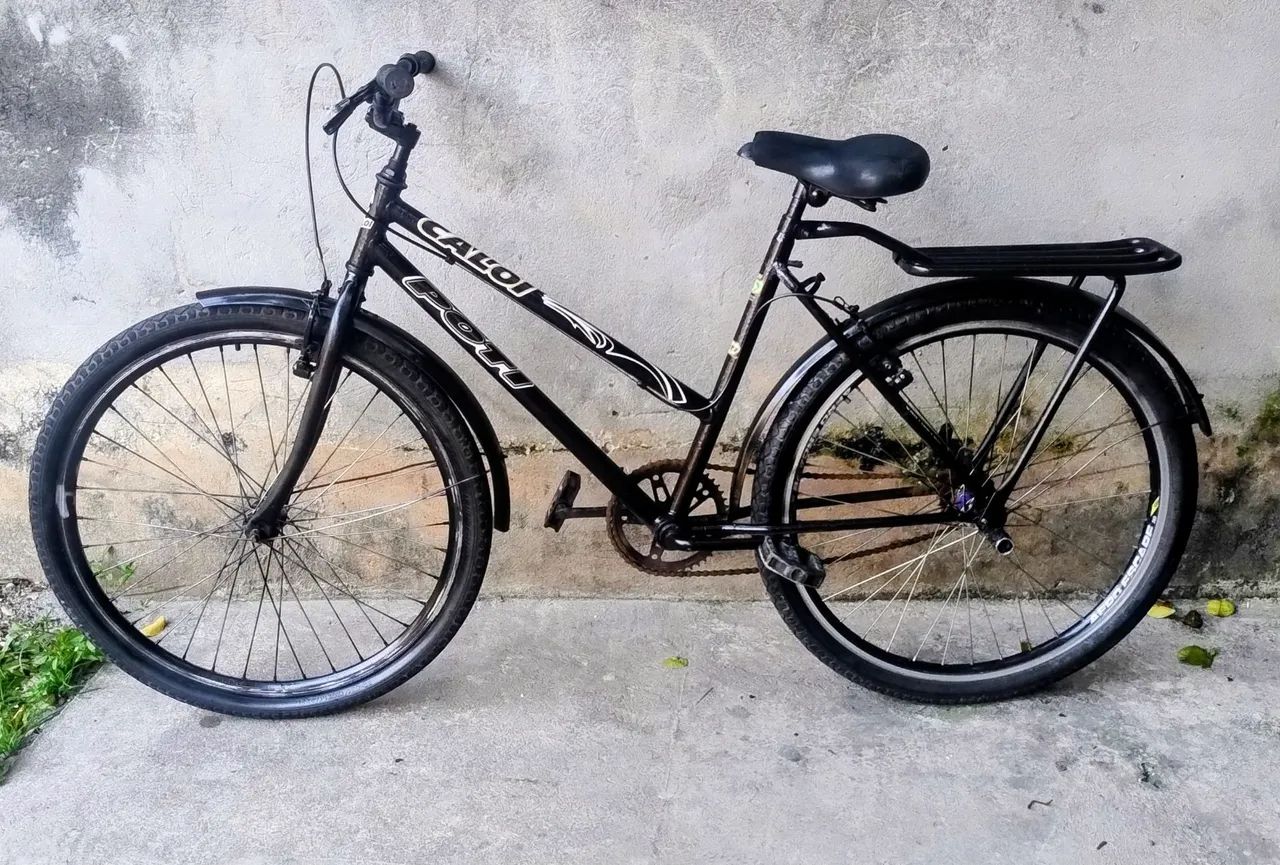 Poti Aro 26 Normal 