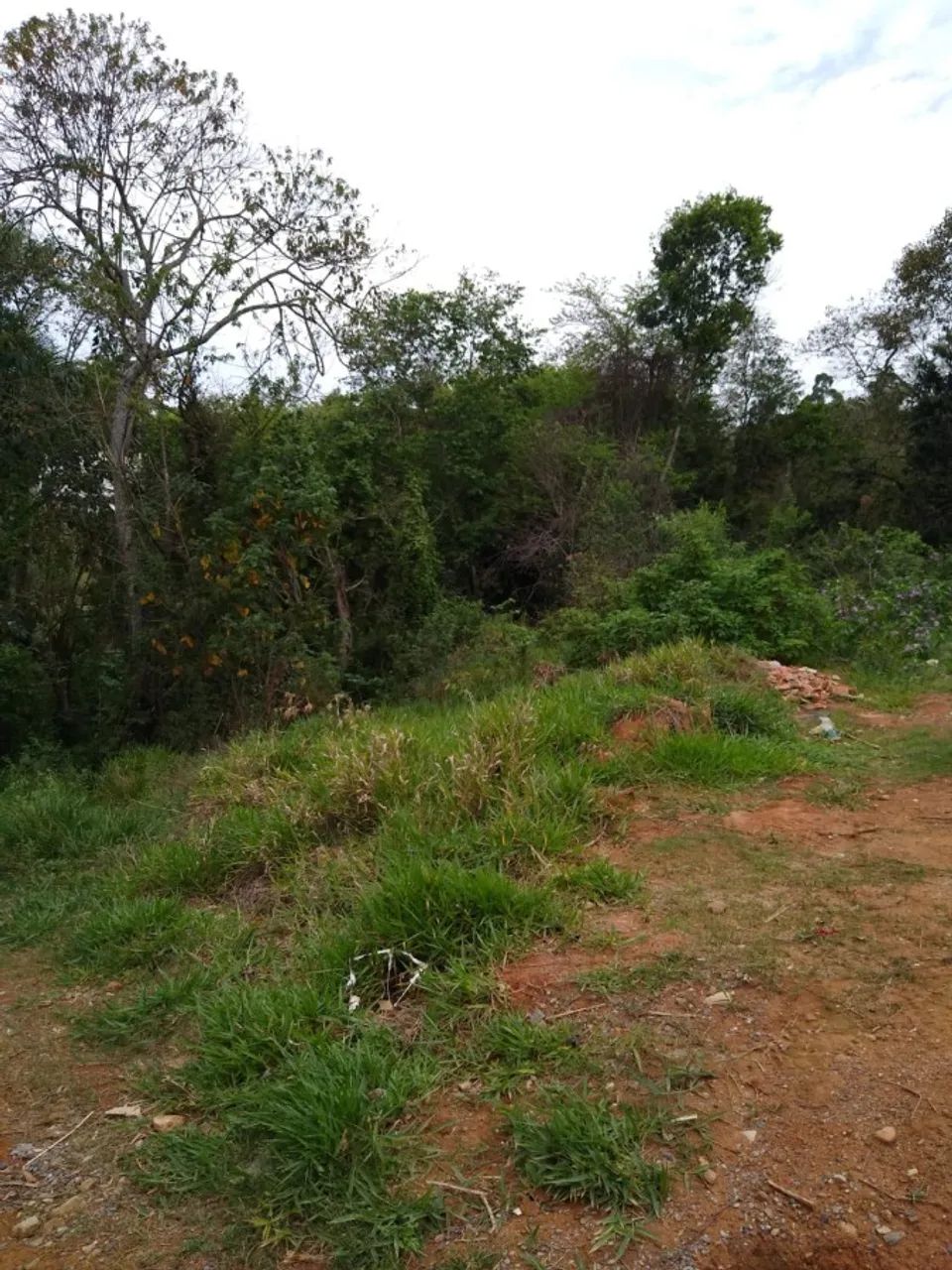 Terreno para Venda em Piedade, Jurupara