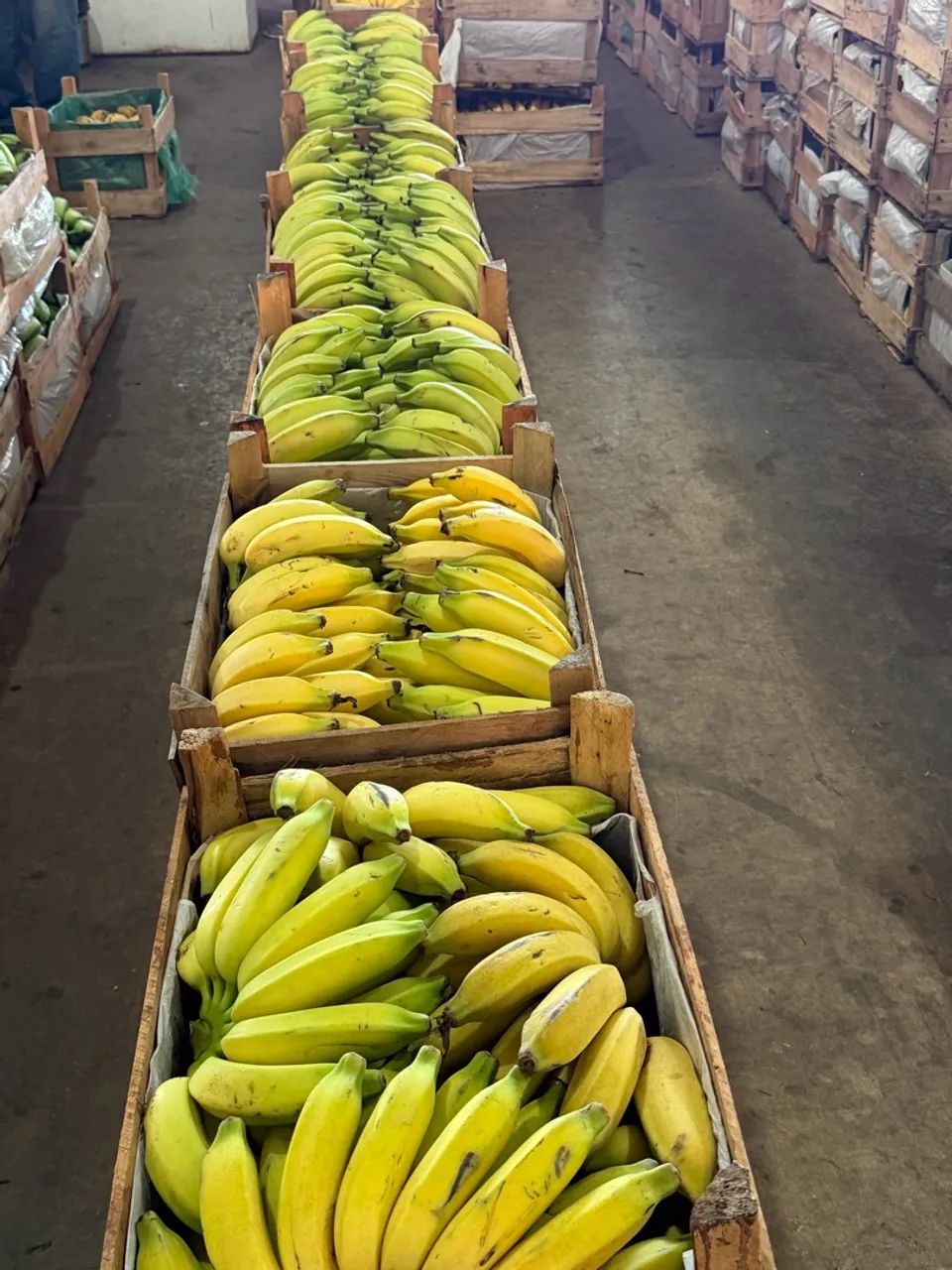 Banana  - Foto 3