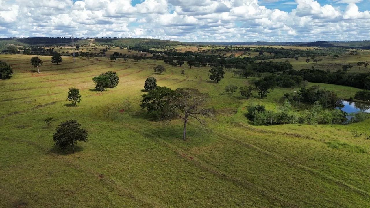 Fazenda dupla aptidão  - Foto 2