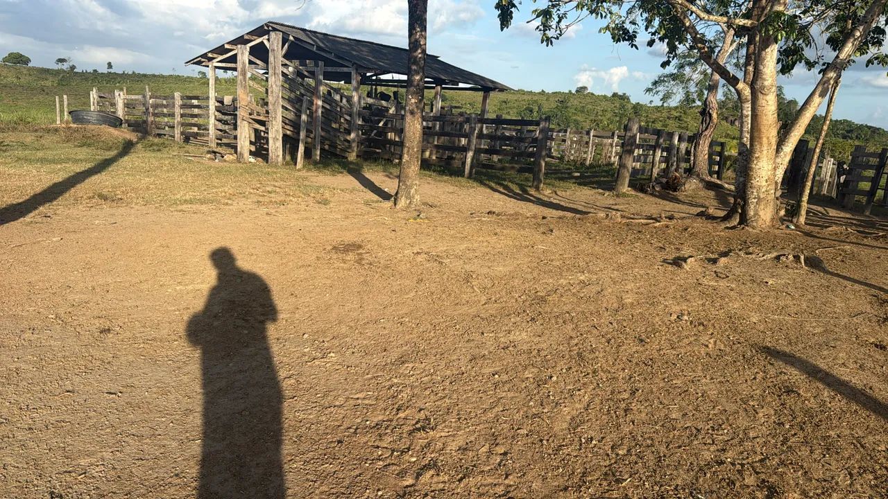 Fazenda 43 alqueire  - Foto 5