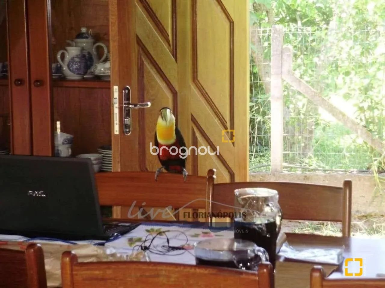 Sitio em Ratones Florianopolis SC - Foto 3