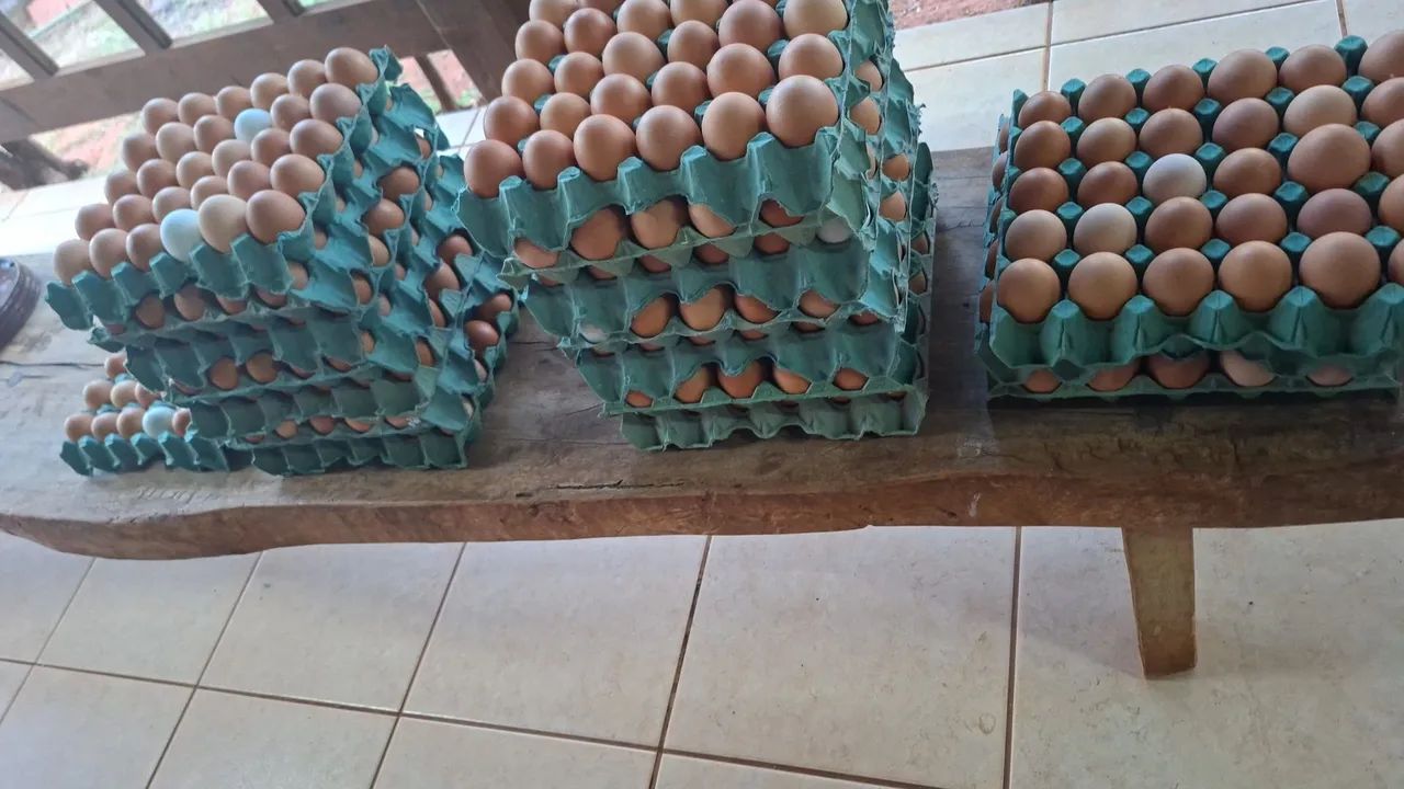 Ovos caipira  - Foto 4