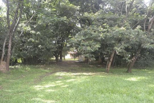 Chácara de 9.237 m² - Vila Morais - Próximo do Jd. Novo Mundo - Foto 5
