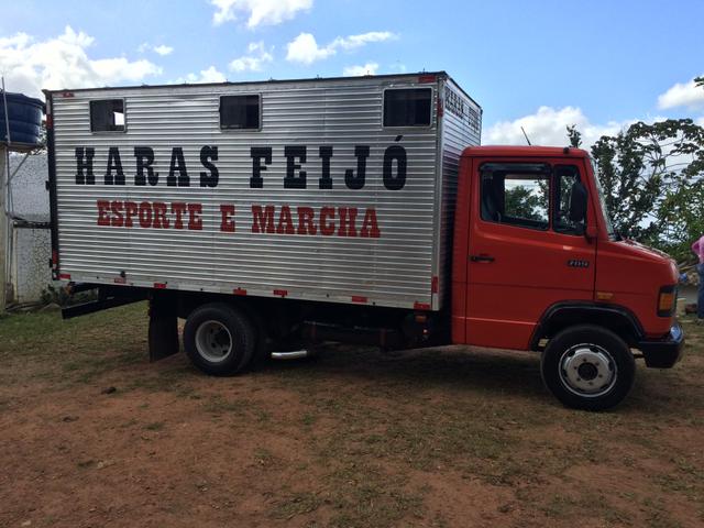 Cavalos transporte especializado