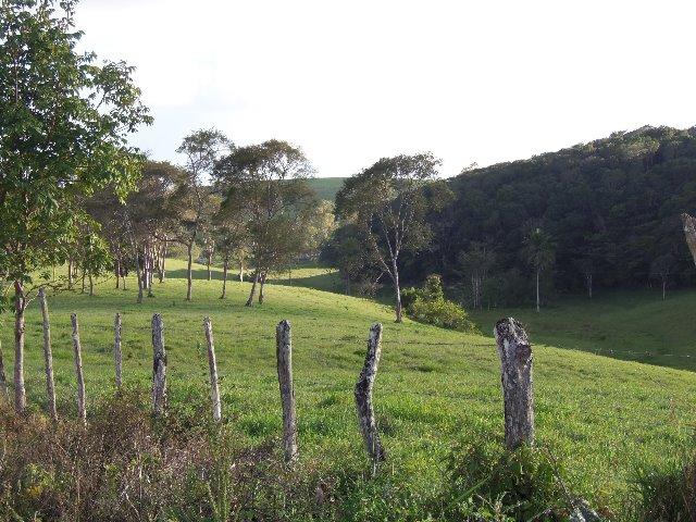 Fazenda com 700 Hectares em Barra de Guabiraba (Cód.: f20568) - Foto 18
