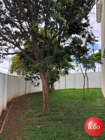 Casa à venda com 3 dormitórios em Vila matilde, São paulo cod:191423 - Foto 20