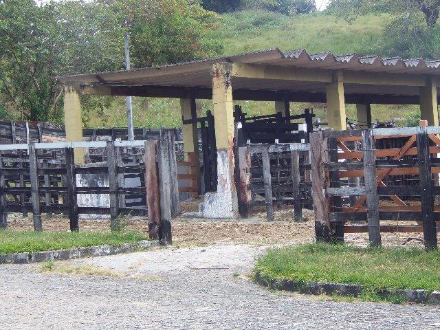 Fazenda com Aproximadamente 180 Hectares (Cód.: 838bdf) - Foto 5