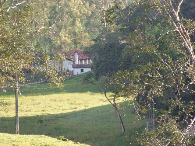 Fazenda com 700 Hectares em Barra de Guabiraba (Cód.: f20568) - Foto 9