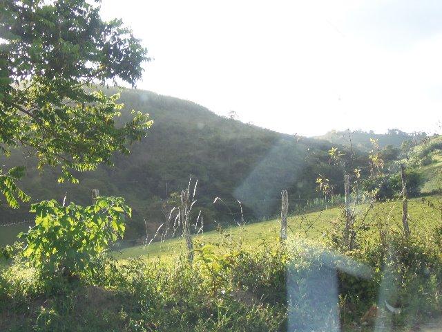 Fazenda com 700 Hectares em Barra de Guabiraba (Cód.: f20568) - Foto 2