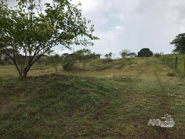 Linda chácara entre marialva e sarandi r$ 380.000 - chácara - marialva/pr - Foto 2