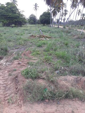 Patacho, venha morar ou ter um negocio em uma das praias mais belas do país. - Foto 7