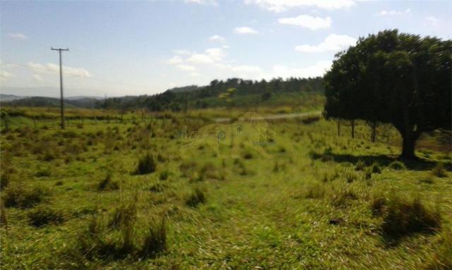 Sítio de 13,85 alq à venda em figueira-pr, si0001. - Foto 2