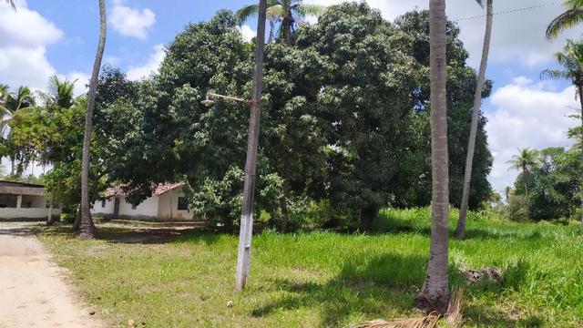 Vende-se excelente sitio em Igarassu, bem localizado - Foto 15