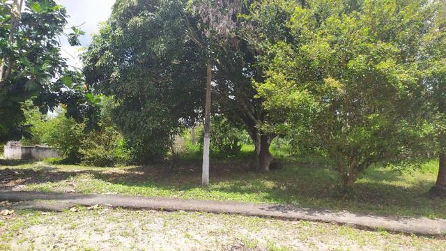 Vende-se excelente sitio em Igarassu, bem localizado - Foto 18