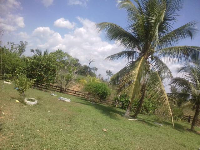 Vende se uma colônia - Foto 4