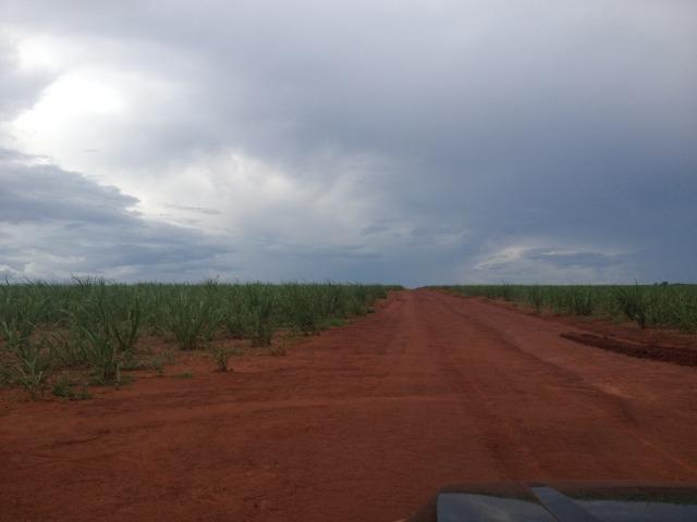 Fazenda 3.533 há - Foto 3