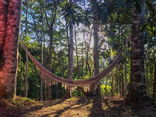 Sitio Caldas da Imperatriz - Foto 10