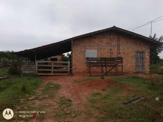 4,42 hectares em Benevides por 250 mil reais porteira fechada - Foto 7